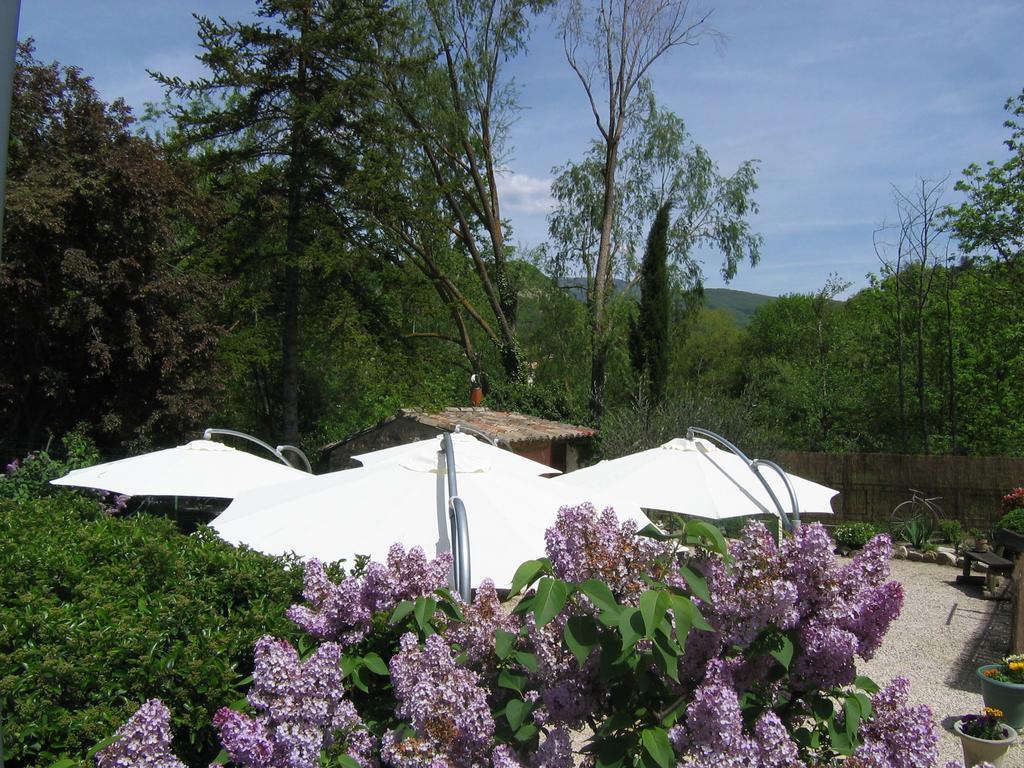 Auberge De Trente Pas Saint-Ferréol-Trente Екстериор снимка